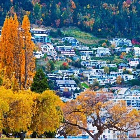 New Zealand 7
