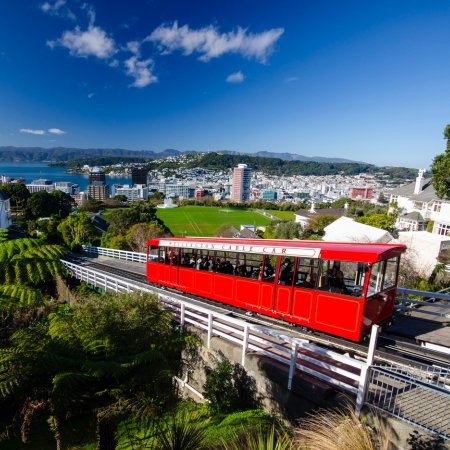 New Zealand 8